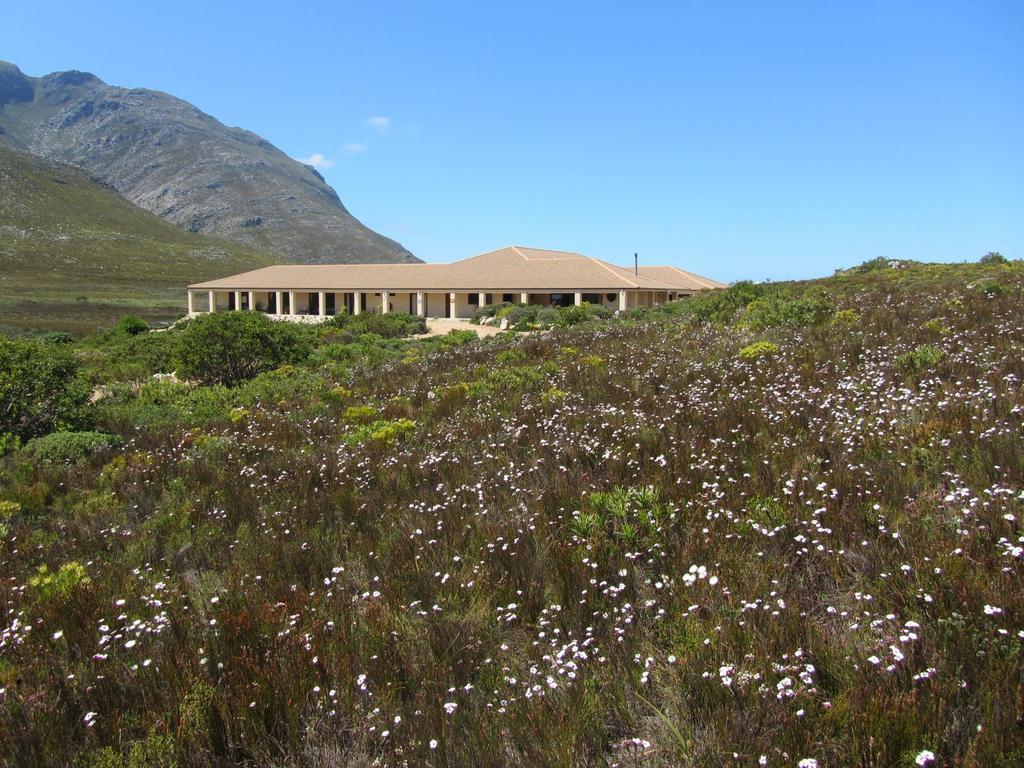 Kapensis Guesthouse Pringle Bay Εξωτερικό φωτογραφία